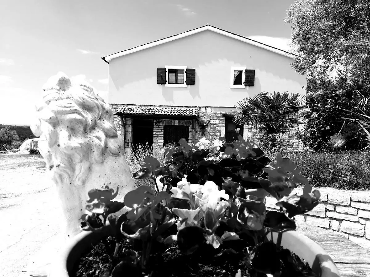 Bed & Breakfast Rooms Agroturizam Romano Buje Croatia