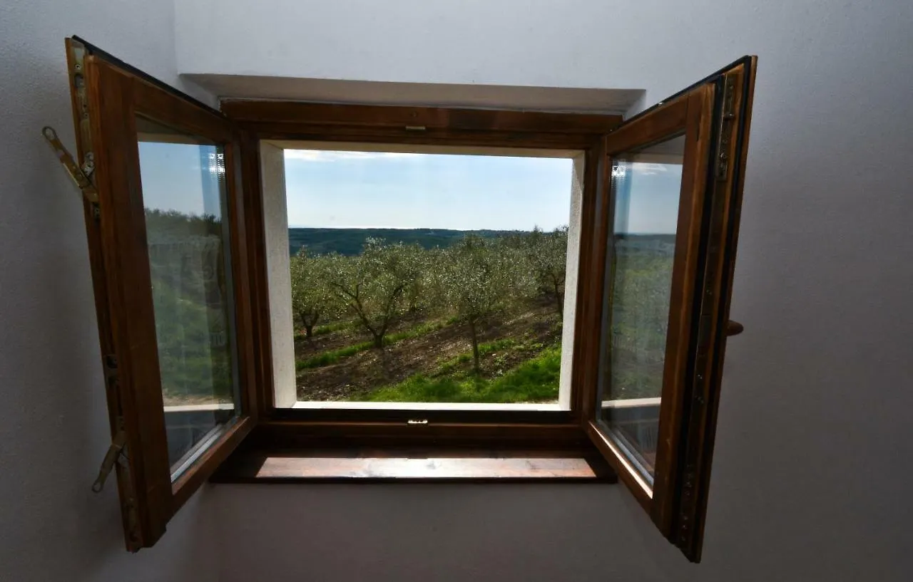 Rooms Agroturizam Romano Buje Bed & Breakfast